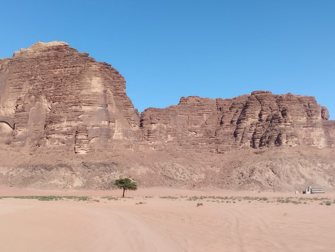 Wadi Rum'da yalnız ağaç, Ürdün
