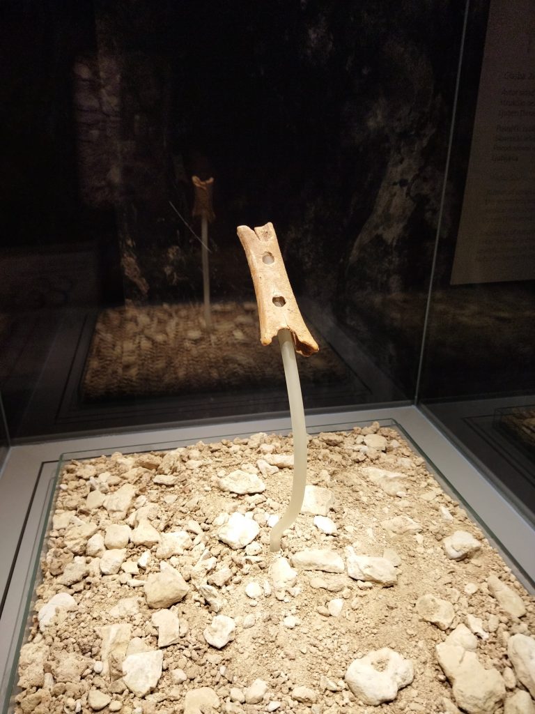 Neandertal flütü, Ljubljana, Slovenya
