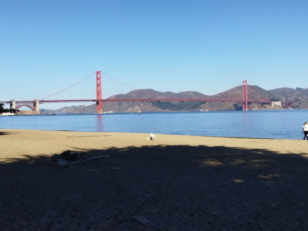 Golden Gate Köprüsü, San Francisco, ABD