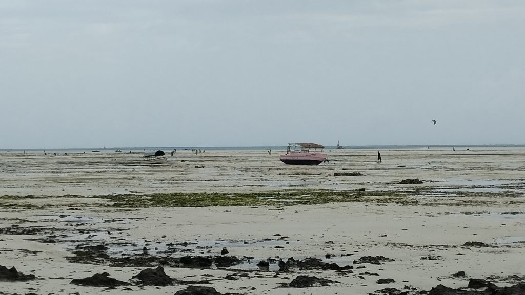 Gelgitle çekilen deniz, Zanzibar, Tanzanya